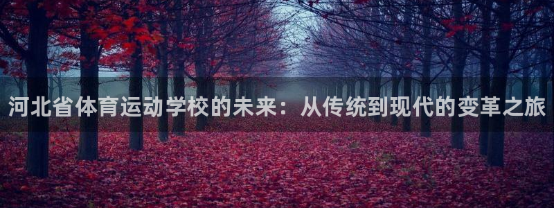 oety欧亿体育官网下载联系电话:河北省体育运动学校的未来: