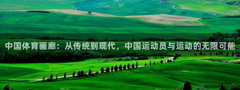 欧亿体育官方正版app集团官网网址:中国体育画廊:从传统到现