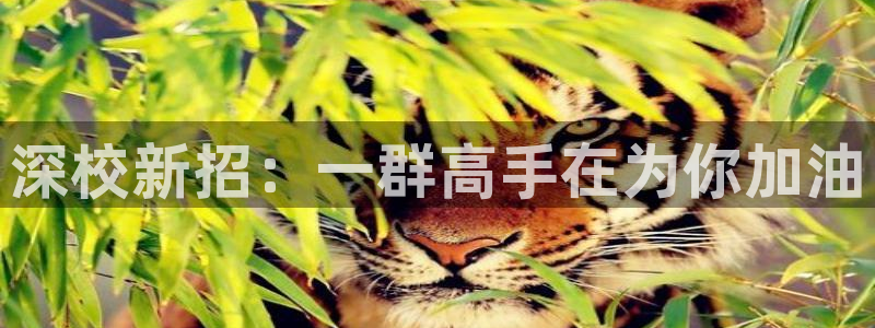 oety欧亿体育官网下载平台:深校新招:一群高手在为你加油