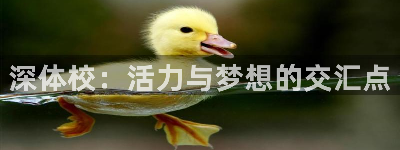 oety欧亿体育官网下载平台注册流程图:深体校:活力与梦想的